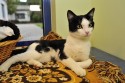 jimmi-_dsc1197