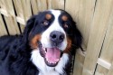 walter3