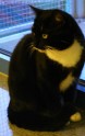 fred-20101