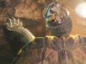 Wasserschildkröten1