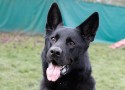 Walko_MG_5964