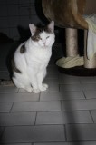 George 0101