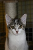 IMG_1680(1)