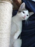 Mila 0(1)