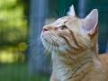 Nelson_MG_8160