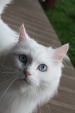 Einstein 25.09