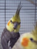 Olli und Agathe2
