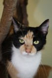 Peggy S