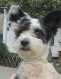 Bandit4