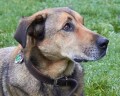 Rusty_IMG_3853