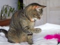 Stella_IMG_4157