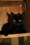 Cleo u Fiona 0101