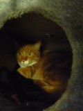 Frutie u. Honey