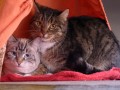 Hilde & Franzi