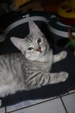 Willi u Wanda09