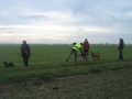 Tierheim Buschhoven 01 2014 011