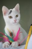 Schnee profil
