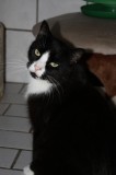 Helge 0111