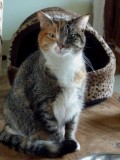 joschi u Lilli 1610